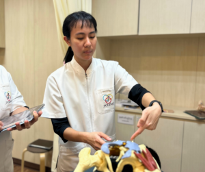 中医師が指で骨の模型を指で押している
