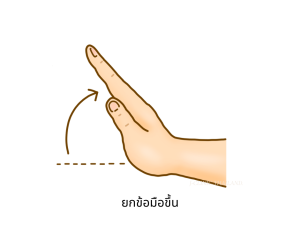 ยกข้อมือขึ้น