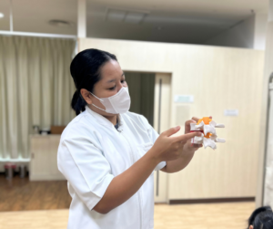 腰椎の模型をもって、見ているセラピスト